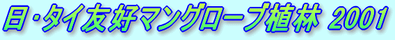 ^CFD}O[uA 2001